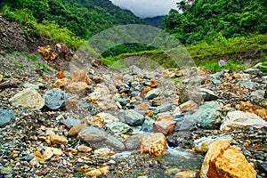 River deep in mountain forest. Nature composition