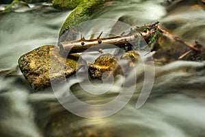 River deep in mountain forest. Nature composition