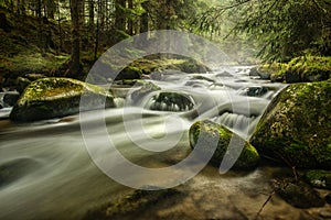 River deep in mountain forest. Nature composition