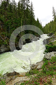 River deep in mountain forest. Nature composition.