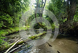 River in a deep valley