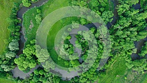 River delta river meander inland dron aerial video shot in floodplain forest and lowlands wetland swamp, quadcopter view photo