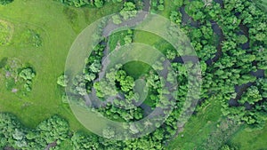 River delta river meander inland dron aerial video shot in floodplain forest and lowlands wetland swamp, quadcopter view