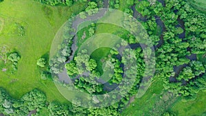 River delta river meander inland dron aerial video shot in floodplain forest and lowlands wetland swamp, quadcopter view