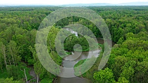 River delta river meander inland dron aerial video shot in floodplain forest and lowlands wetland swamp, quadcopter view