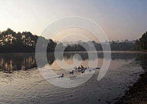 River Desna in the early summer morning