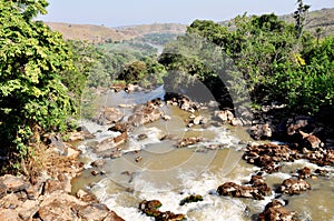 River Disappearing into the Distance