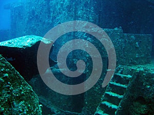 River diving is a risky underwater excursion