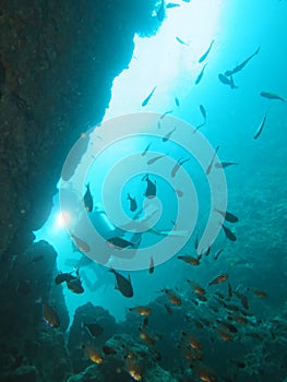 River is diving in the sea, Myanmar