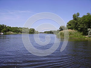 River Don in southern Russia. On the shore reeds, next of oak groves.