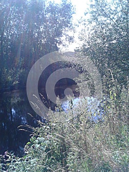 River Don with trees and vegitation photo