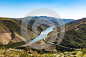 River Douro next to the mouth of the river Coa photo