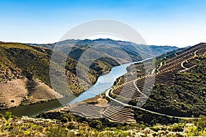 River Douro next to the mouth of the river Coa