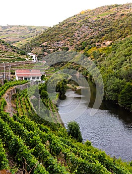 River Douro valley, Portugal