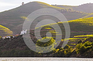 River Douro valley, Portugal