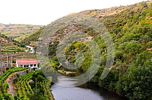 River Douro valley, Portugal