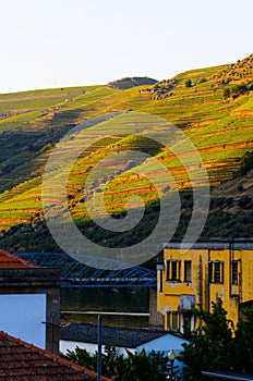 River Douro valley, Portugal