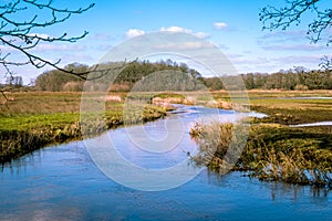 The river Drentse AA in early spring