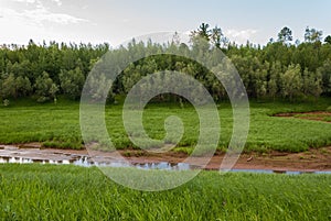 The river dries up in the Taiga