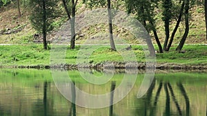 River Drina - Serbia and Bosnia and Hercegovina borderline