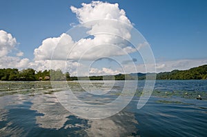river dulce - guatemala