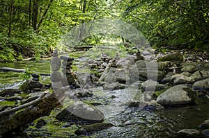 River DÅ«kÅ¡ta flows in the Neris Regional Park in Lithuania