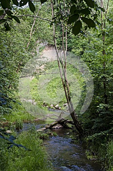 River DÅ«kÅ¡ta flows in the Neris Regional Park in Lithuania
