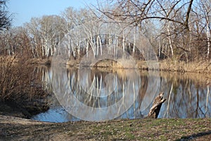 River Eagle in Ukraine