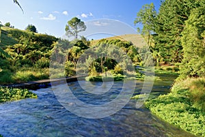 A river in the early morning in Waikato, New Zealand