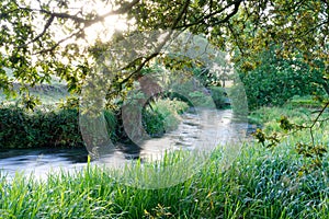 A river in the early morning in Waikato, New Zealand