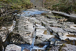 The River Eden near to Nateby above kirkby Stephen in Cumbria