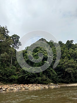 river at the edge of the forest