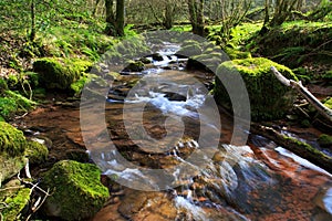 The river Ennig; at the Pwll y Wrach nature reserve