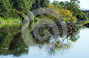 River Erne in Co. Cavan, Ireland