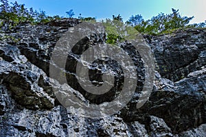 A river eroded a stone wall rock formation, Sohodol Gorges are full of unexplored caves, Romania