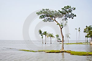 River erosion scenario of coastal belt bay of Bengal