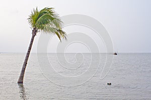 River erosion scenario of coastal belt bay of Bengal