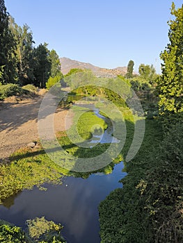 The river or estuary of Catemu with its little water and great vegetation, trees and grass, summer afternoon, amateur photography photo