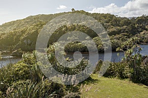 River estuary at Tauparikaka Marine Reserve, Haast, New Zealand