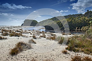 River estuary at Tauparikaka Marine Reserve, Haast, New Zealand