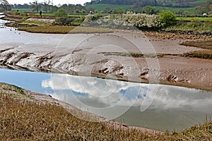 River Exe estuary at low tide