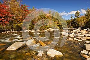 River through fall foliage, Swift River, New Hampshire, USA