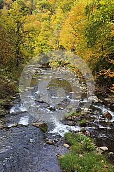 River in the Fall Mountains