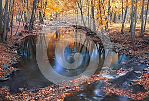 River in Fall with reflections