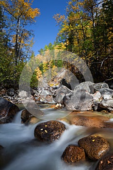 River among fall woods in mountain