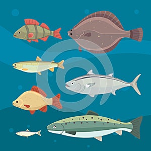 river fish. Set of freshwater sea cartoon fishes. Fauna ocean vector illustration
