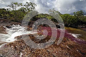 River of Five Colors CaÃ±o Cristales, Colombia