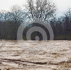 River flood inundation