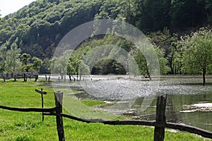 River flood in the spring valley of Cerna river