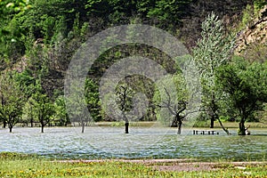 River flood in the spring valley of Cerna river